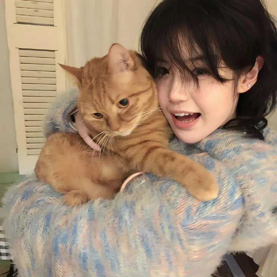 傲娇双宝，爹地你把我抱错了